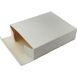 Pudełko jednoczęściowe (24,8x19,5x53) 50411822