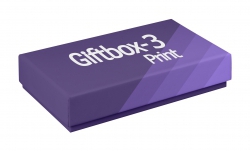 Opakowanie kartonowe Giftbox-3 Print