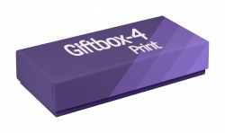 Opakowanie kartonowe Giftbox-4 Print