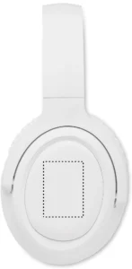 Miejsce znakowania: EAR LEFT